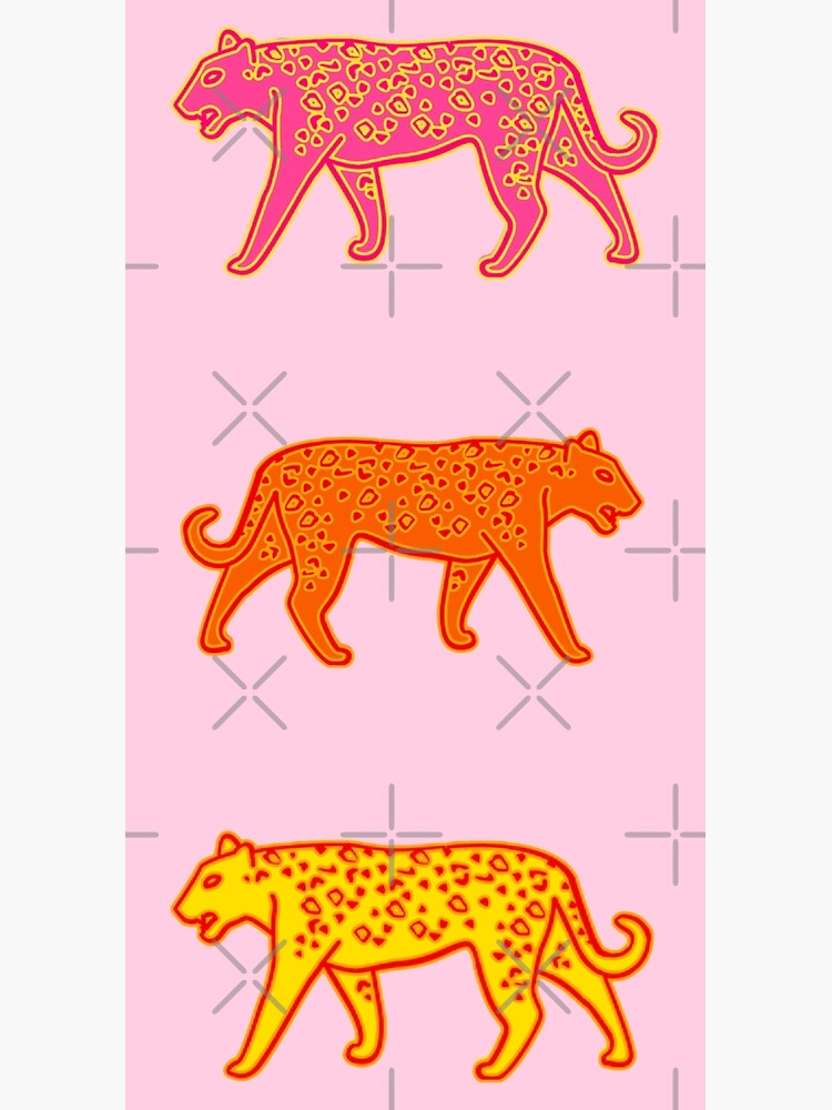 cheetah pack - pink, orange, yellow