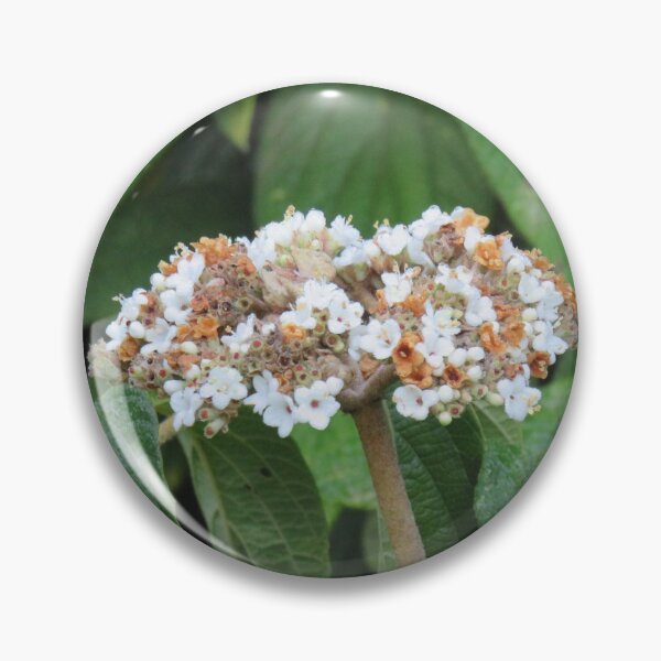 Item preview, Little flowers and foliage designed and sold by greentiger1.