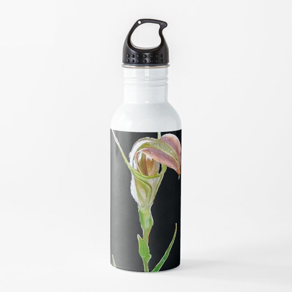 Cobra Greenhood Orchid  Water Bottle
