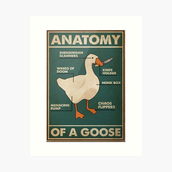 Item preview, Game Anatomy Of Goose Poster designed and sold by DalimilKoleno.