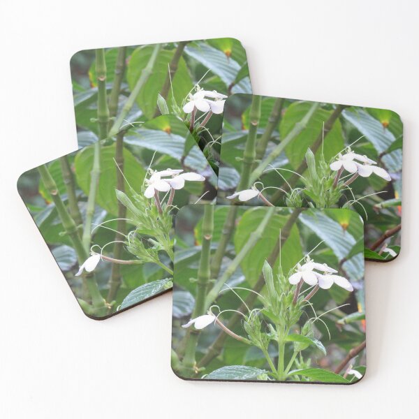 Item preview, Jungle foliage and flowers designed and sold by greentiger1.