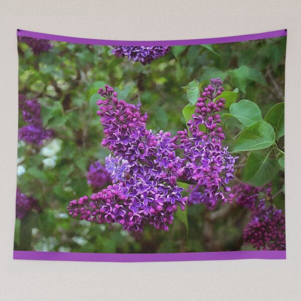 Item preview, Vivid Purple Lilacs designed and sold by SeaChangeDesign.
