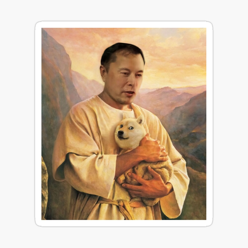 Engraçado Capivara Doge E Elon Meme Mania Posters Canvas