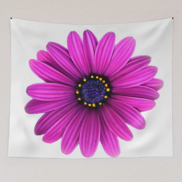Item preview, Dancing Daisy  designed and sold by heatherfriedman.