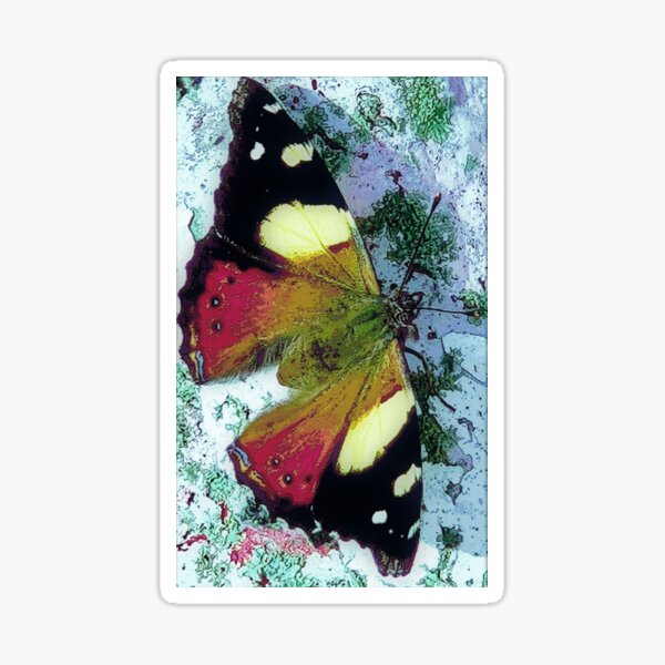 Yellow Admiral Butterfly Sticker