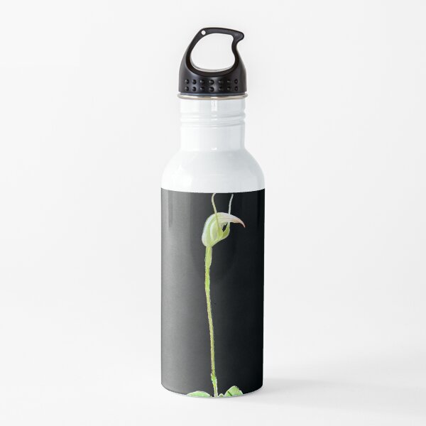 Sharp Greenhood Orchid Water Bottle