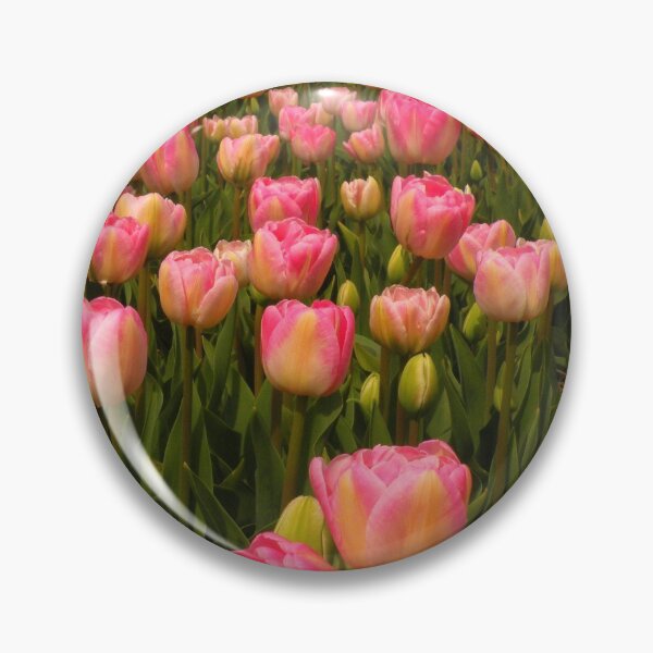 Artikelvorschau, Candy Tulips entworfen und verkauft von Jo Nijenhuis.
