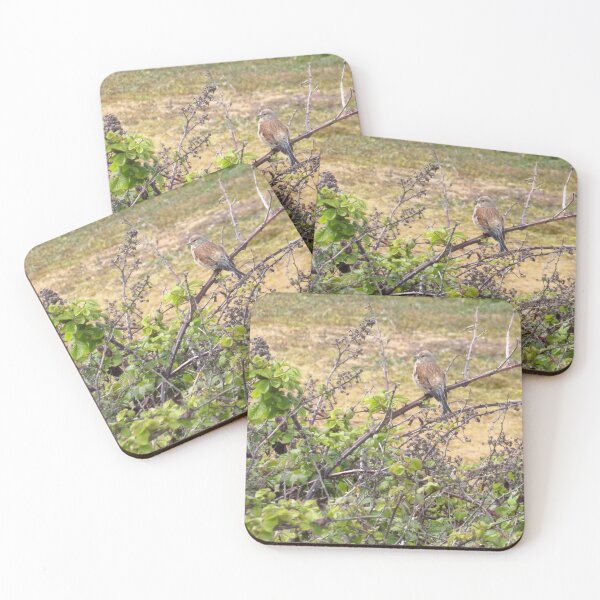Item preview, Linaria Cannabina - The Common Linnet designed and sold by wiggyofipswich.