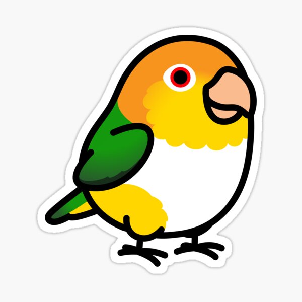 Item preview, Chubby White Bellied Caique designed and sold by birdhism.