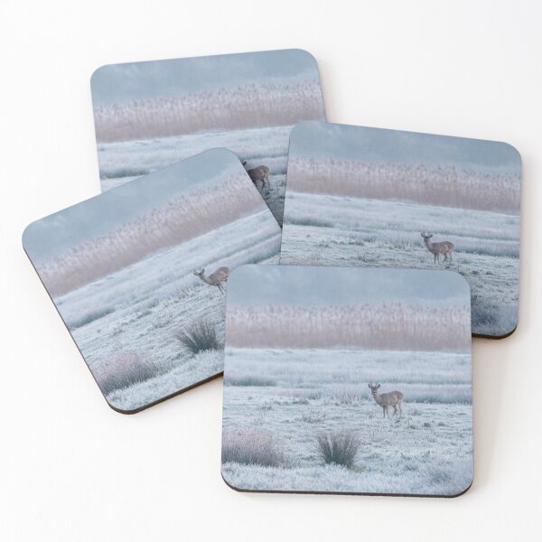 Item preview, Roebuck on a Frosty Morning designed and sold by Steve Liptrot Photography.