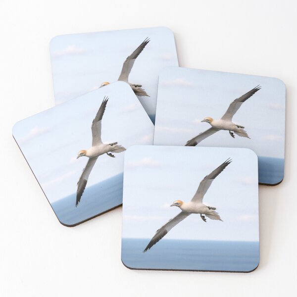 Item preview, Northern Gannet (Morus bassanus) designed and sold by Steve Liptrot Photography.