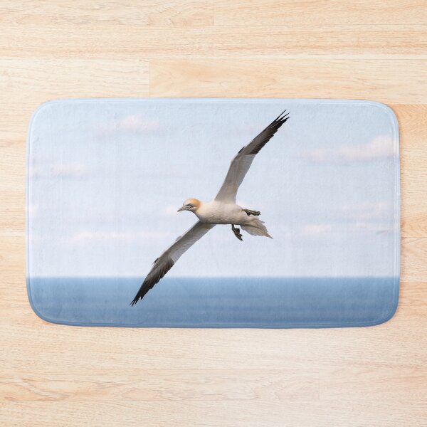 Item preview, Northern Gannet (Morus bassanus) designed and sold by Steve Liptrot Photography.