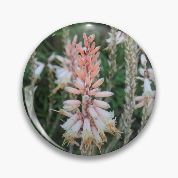 Item preview, White and orange aloe designed and sold by greentiger1.