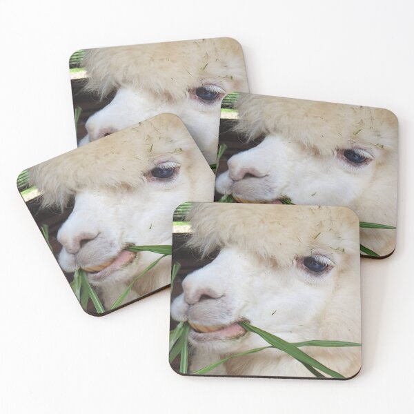 Item preview, Alpaca designed and sold by Coco Lab.