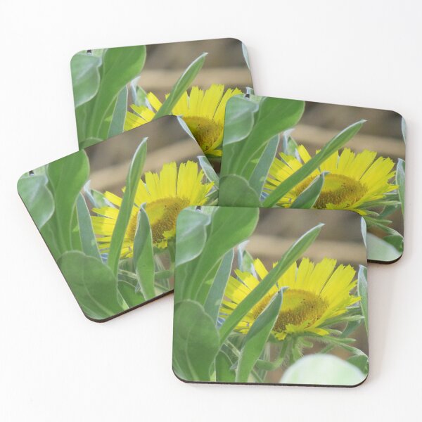 Item preview, Yellow daisy bush designed and sold by greentiger1.