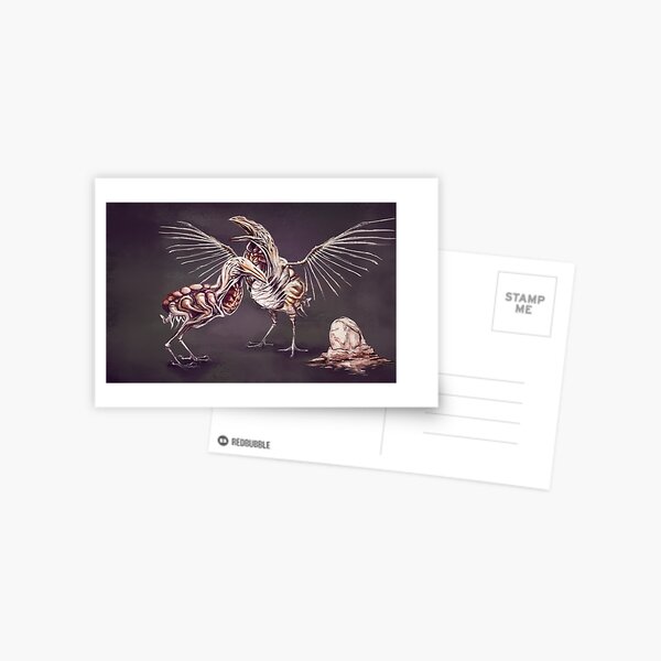 Birds Postcard
