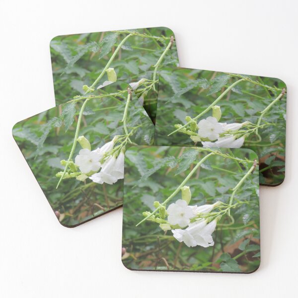 Item preview, White incarvillea designed and sold by greentiger1.