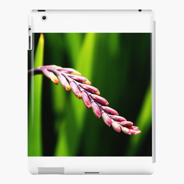 Untitled iPad Snap Case