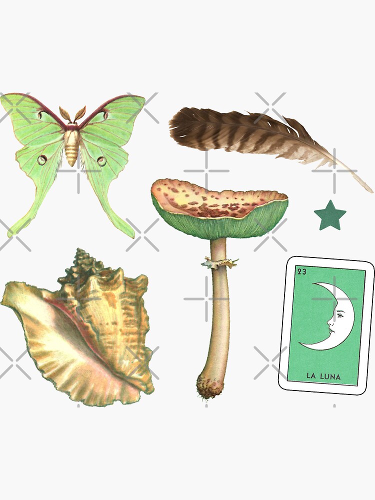 Moths - Sticker Pack Sticker for Sale by elevens