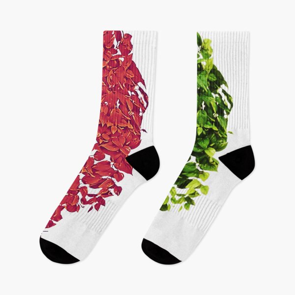 Item preview, Hanging Pothos Plant gardening designed and sold by DonmedPro1.