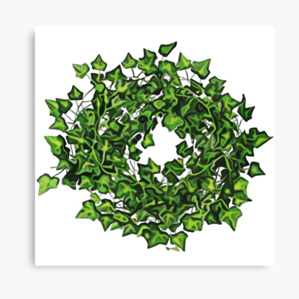 Item preview, Hanging Pothos Plant gardening designed and sold by DonmedPro1.