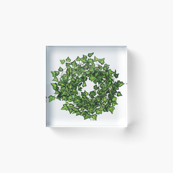 Item preview, Hanging Pothos Plant gardening designed and sold by DonmedPro1.