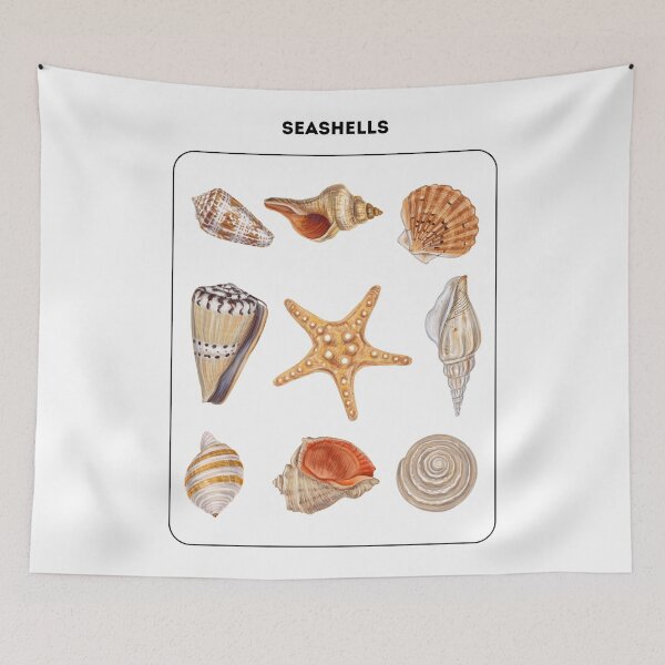 Item preview, Seashells Set  designed and sold by roocky.