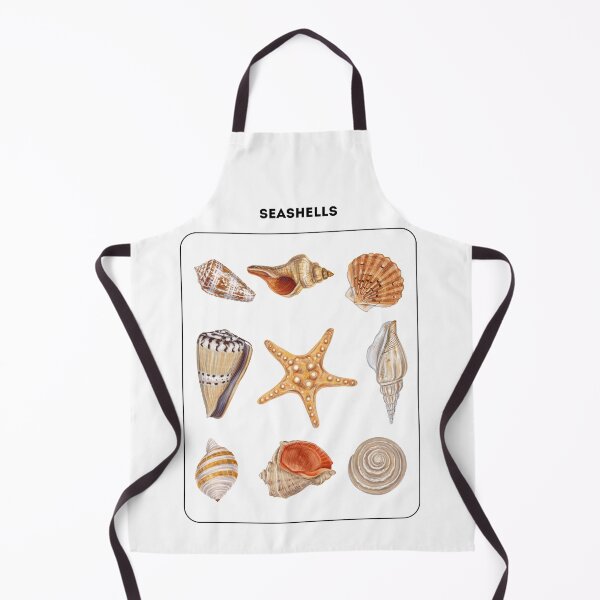 Item preview, Seashells Set designed and sold by roocky.