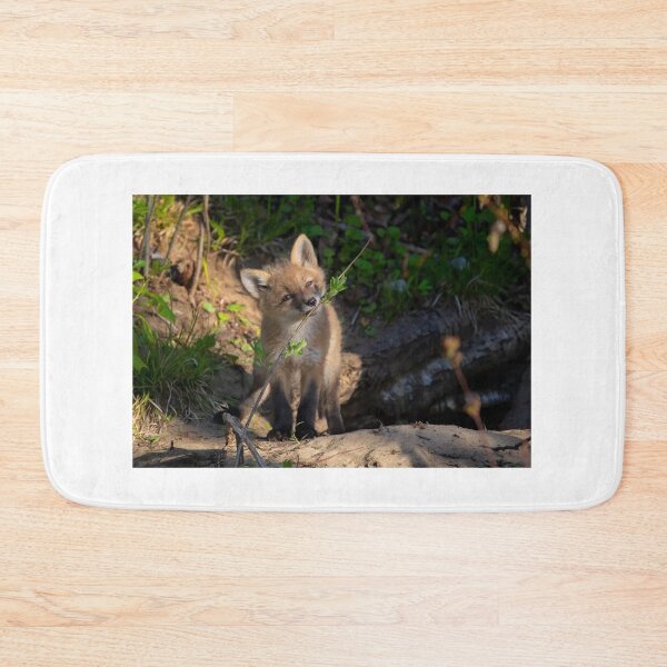 Item preview, Fox kit discovers branch designed and sold by James Cumming.