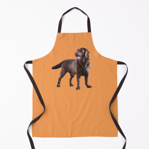 Aperçu de l'œuvre Labrador créée et vendue par sibosssr.