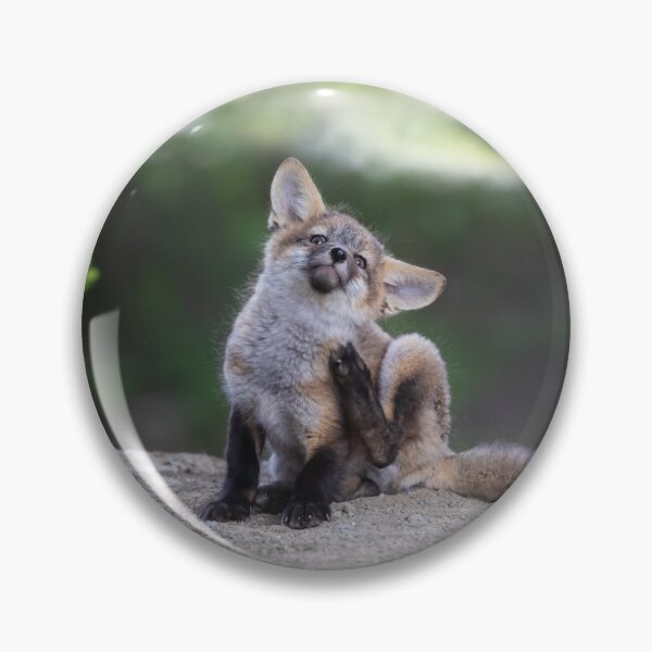 Item preview, Fox kit having a scratch designed and sold by James Cumming.