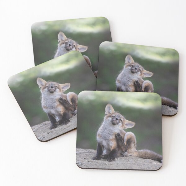 Item preview, Fox kit having a scratch designed and sold by James Cumming.