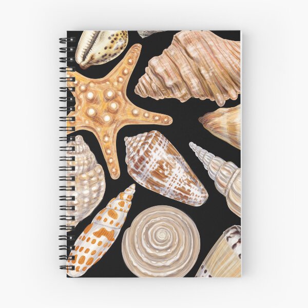 Item preview, Seashells Collection  designed and sold by roocky.