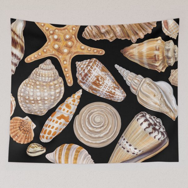 Item preview, Seashells Collection  designed and sold by roocky.