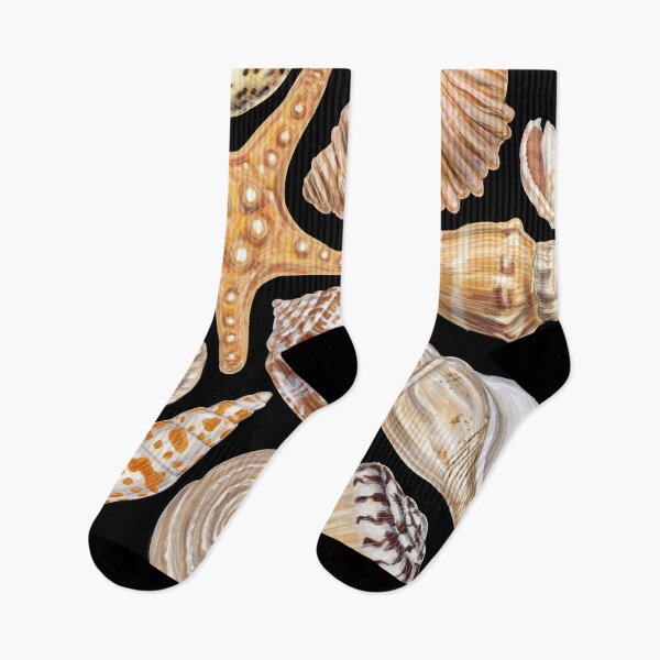 Item preview, Seashells Collection  designed and sold by roocky.