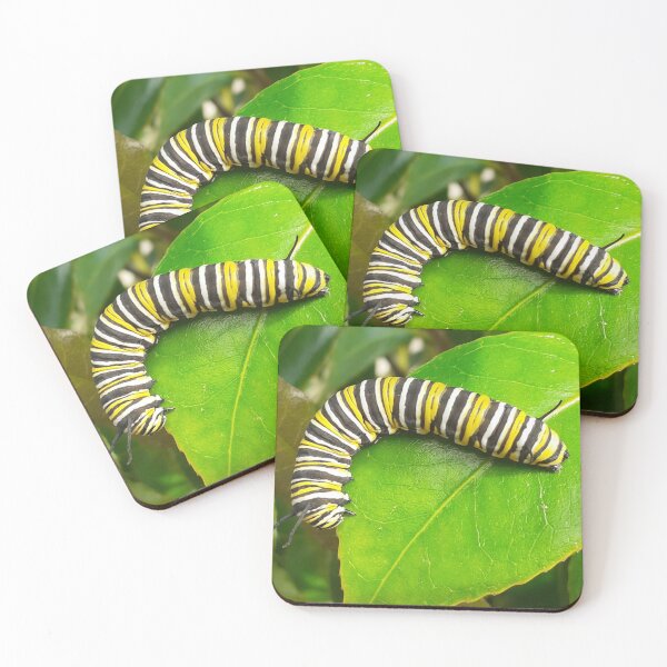 Item preview, Monarch Caterpillar  designed and sold by Huskiesandhound.