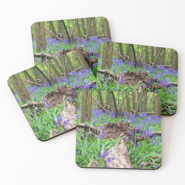 Item preview, Bluebells in May designed and sold by Vicki Spindler (VHS Photography).