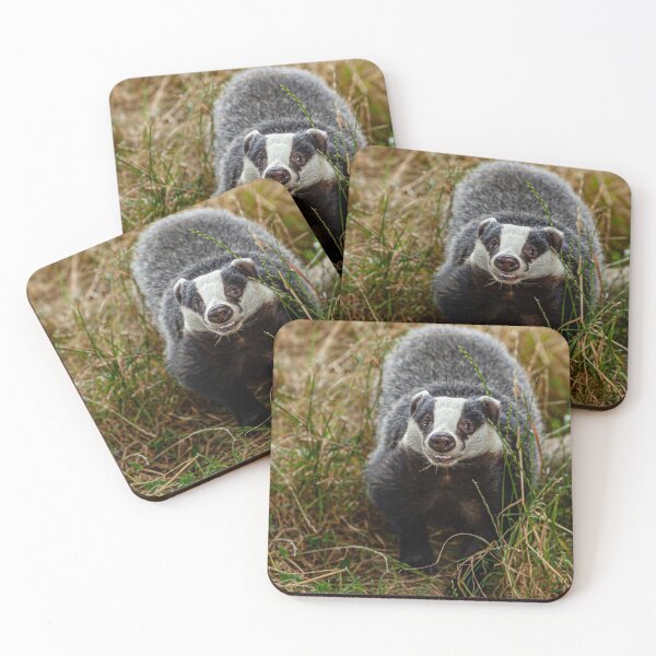 Item preview, Foraging Badger looking at the viewer designed and sold by Dalyndigital Photography.