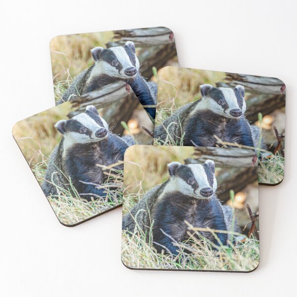 Item preview, Badger looking for dinner designed and sold by Dalyndigital Photography.