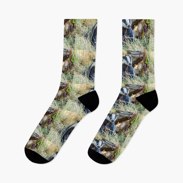 Item preview, Badger looking for dinner designed and sold by Dalyndigital Photography.