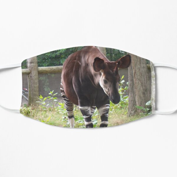 Walking okapi Flat Mask