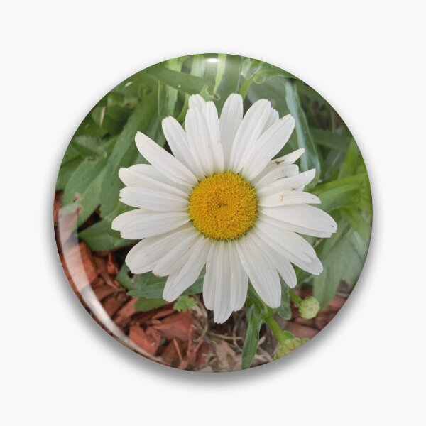 Artikelvorschau, Gänseblümchen entworfen und verkauft von Roonature.