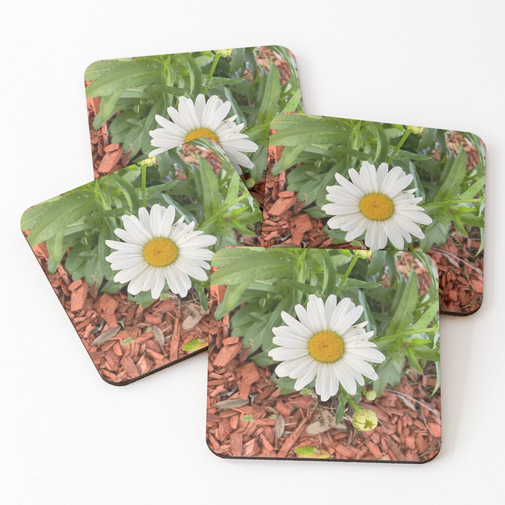 Item preview, Coasters (Set of 4) designed and sold by Roonature.