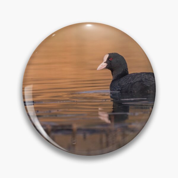 Item preview, Coot designed and sold by Kizzydog.