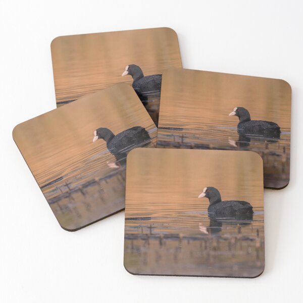 Item preview, Coot designed and sold by Kizzydog.
