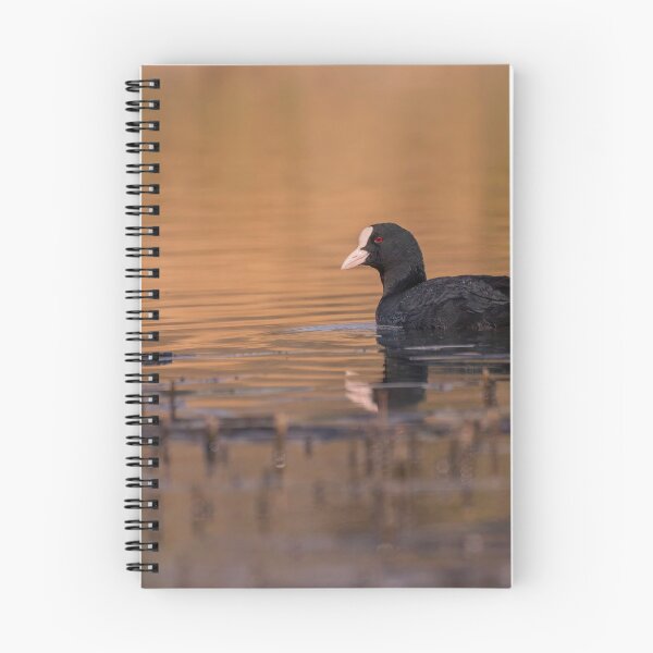 Item preview, Coot designed and sold by Kizzydog.