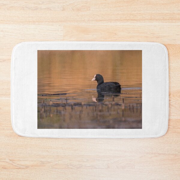 Item preview, Coot designed and sold by Kizzydog.