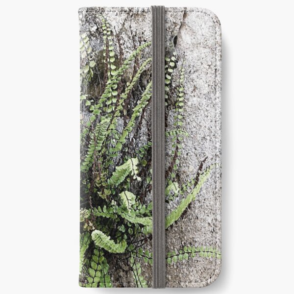 French Stone Wall Fern iPhone Wallet
