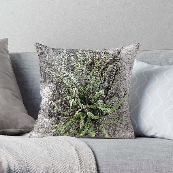 French Stone Wall Fern Throw Pillow