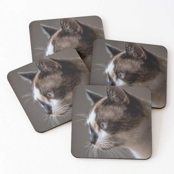 Item preview, Snowshoe Cat Profile designed and sold by Elisabeth Lucas.